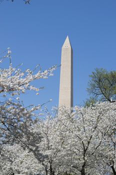 The Washington Memorial was built to commemorate George Washington (The first USA president) and it is the biggest obelisk and the world largest stone structure.