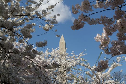 The Washington Memorial was built to commemorate George Washington (The first USA president) and it is the biggest obelisk and the world largest stone structure.