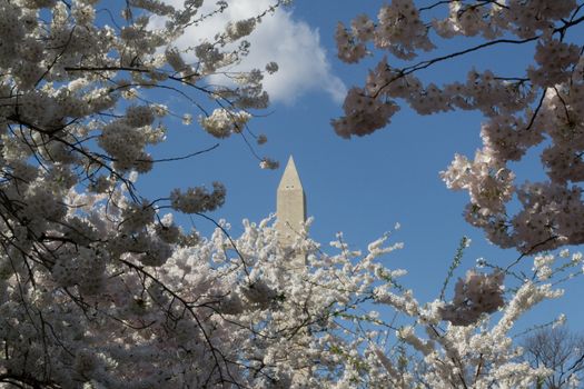 The Washington Memorial was built to commemorate George Washington (The first USA president) and it is the biggest obelisk and the world largest stone structure.