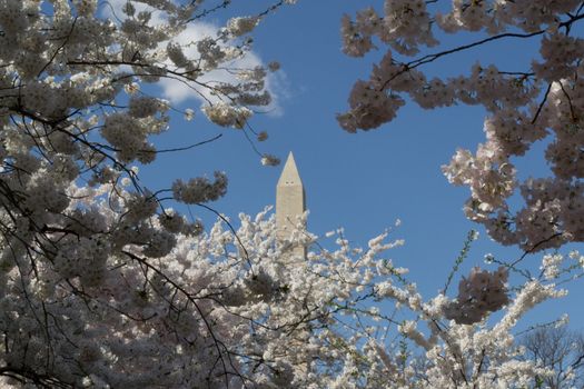 The Washington Memorial was built to commemorate George Washington (The first USA president) and it is the biggest obelisk and the world largest stone structure.