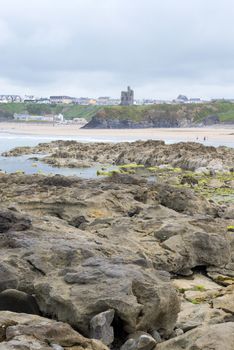 seaweed covered rocks with castle and cliffs on ballybunion beach in county kerry ireland