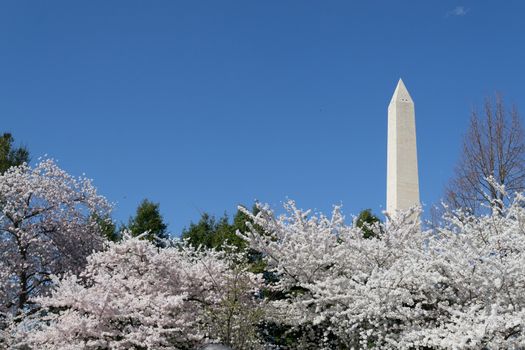 The Washington Memorial was built to commemorate George Washington (The first USA president) and it is the biggest obelisk and the world largest stone structure.
