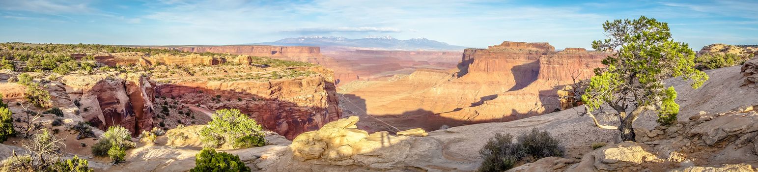 Arches National Park  Moab  Utah  USA