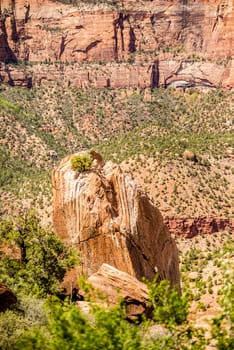 Zion Canyon National Park Utah