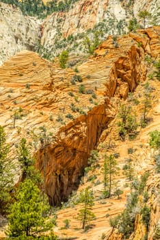 Zion Canyon National Park Utah