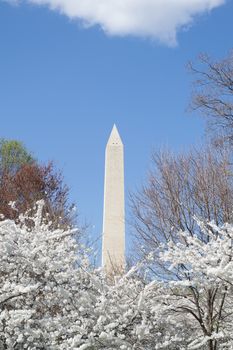 The Washington Memorial was built to commemorate George Washington (The first USA president) and it is the biggest obelisk and the world largest stone structure.