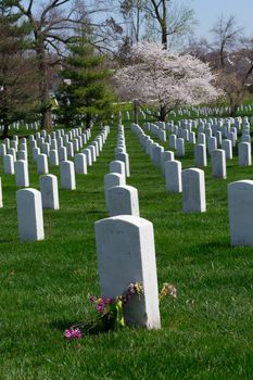 The Arlington Cemetery is the US military cemetery in which soldiers who died in national conflicts since the Civil War are Buried.