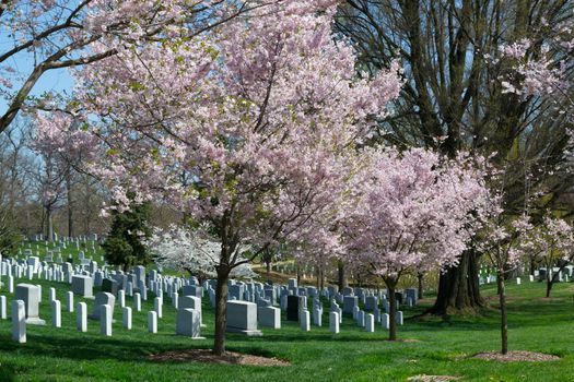 The Arlington Cemetery is the US military cemetery in which soldiers who died in national conflicts since the Civil War are Buried.