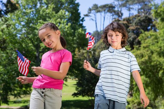 Little siblings waving american flag on a sunny day