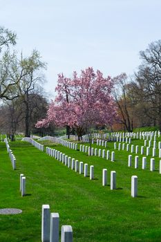 The Arlington Cemetery is the US military cemetery in which soldiers who died in national conflicts since the Civil War are Buried.
