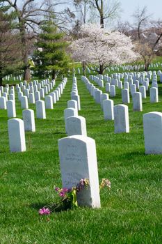 The Arlington Cemetery is the US military cemetery in which soldiers who died in national conflicts since the Civil War are Buried.