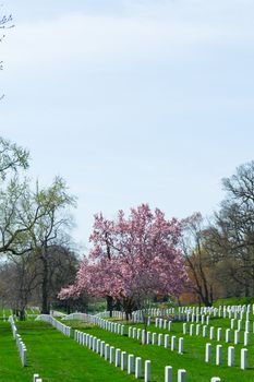 The Arlington Cemetery is the US military cemetery in which soldiers who died in national conflicts since the Civil War are Buried.