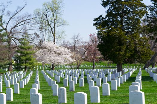 The Arlington Cemetery is the US military cemetery in which soldiers who died in national conflicts since the Civil War are Buried.