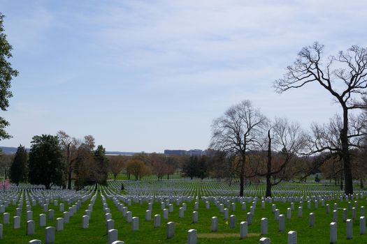 The Arlington Cemetery is the US military cemetery in which soldiers who died in national conflicts since the Civil War are Buried.