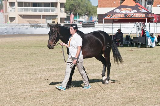 BLOEMFONTEIN, SOUTH AFRICA - APRIL 28, 2015: Rider and horse at the South African National Championships
