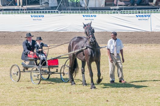 BLOEMFONTEIN, SOUTH AFRICA - APRIL 28, 2015: Young girl and father on a horse-drawn cart during the South African National Championships at the Bloem Show