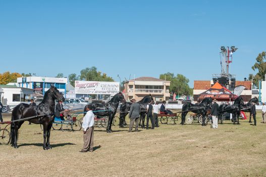 BLOEMFONTEIN, SOUTH AFRICA - APRIL 28, 2015: Drivers on horse-drawn carts during the South African National Championships