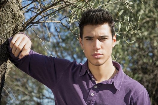 Handsome young man leaning against olive tree, looking at camera, in a sunny day