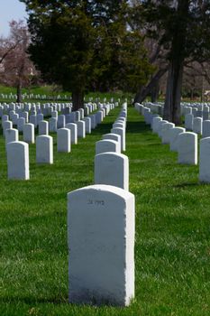 The Arlington Cemetery is the US military cemetery in which soldiers who died in national conflicts since the Civil War are Buried.