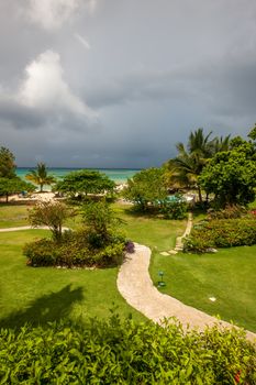 A tropical garden with flowers and palm trees overlooking the ocean with  gray clouds