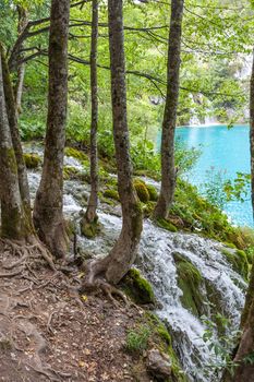 Plitvice lakes of Croatia - national park in autumn