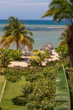 A tropical garden with palm trees overlooking the ocean with blue sky