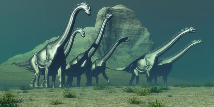 A herd of Brachiosaurus dinosaurs pass a high bluff in their search for a forest of trees for grazing.