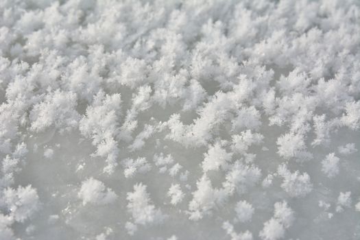 Texture of white snow