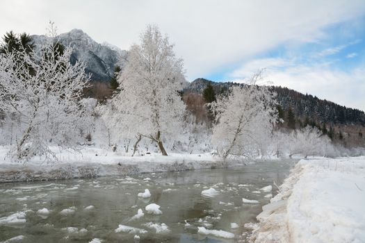 Frozen river and trees in winter season