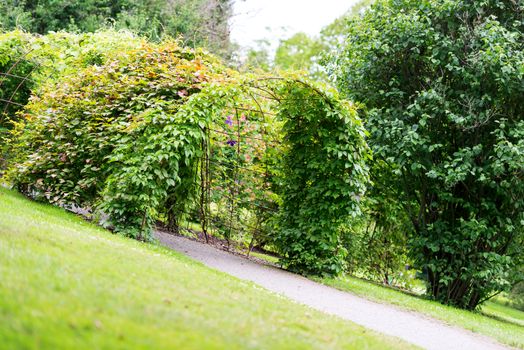 City garden in Oslo