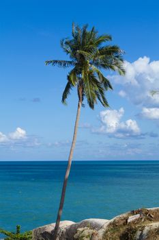 Tropical beach of Koh Samui island in Thailand