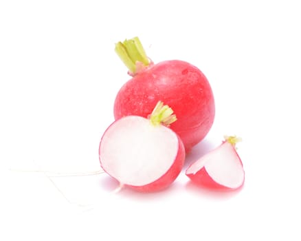 garden radish isolated on white background