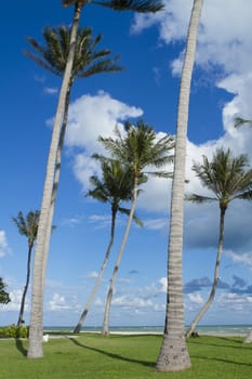 Tropical beach of Koh Samui island in Thailand