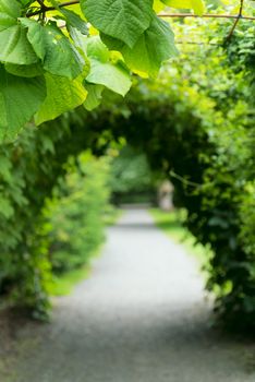 City garden in Oslo