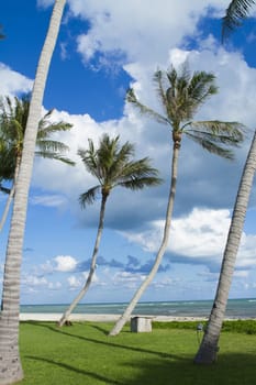 Tropical beach of Koh Samui island in Thailand