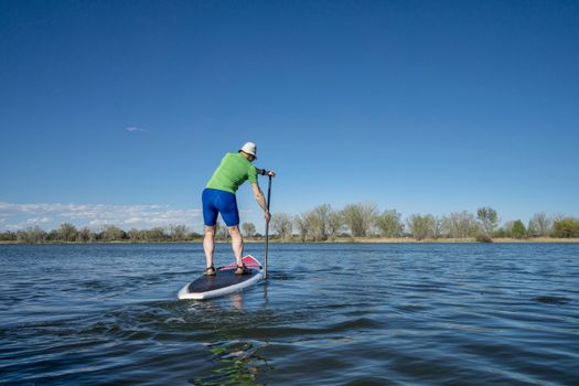 Senior male exercising on stand up paddling (SUP) board.. Early spring on calm lake in Fort Collins, Colorado..