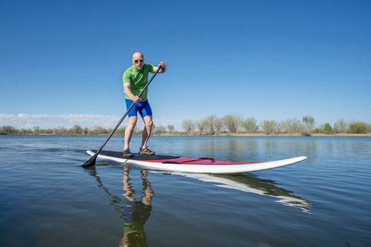 Senior male exercising on stand up paddling (SUP) board. Early spring on a calm lake in Fort Collins, Colorado..