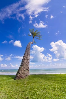 Tropical beach of Koh Samui island in Thailand