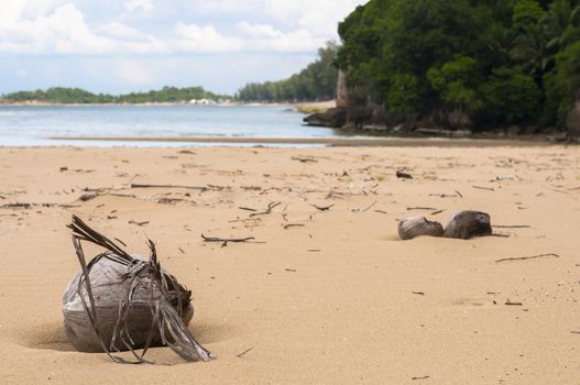 Desiccated Coconut on Beach with seascape background