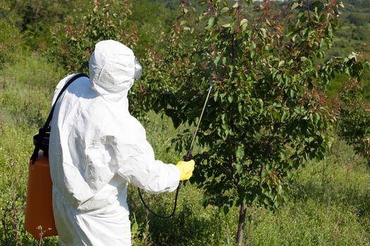 Pesticide spraying