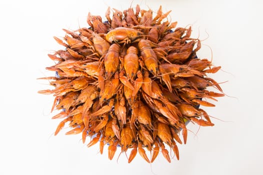 Photo of red boiled crawfishes on the dish
