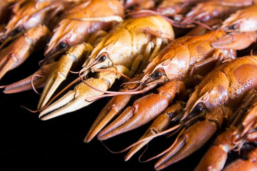 Photo of background with red boiled crawfishes