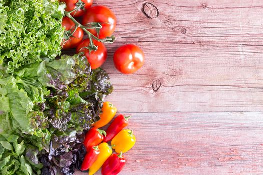 Overhead view on rustic wooden boards with peeling paint of three different lettuce varieties with fresh tomatoes and red and orange mini bell peppers, with copyspace