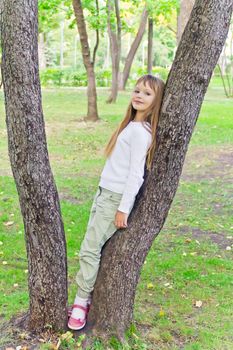 Photo of cute girl in summer sit on tree