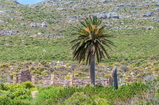 Old forestry station next to Chapmans Peak drive