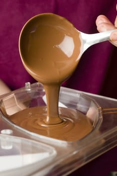Ingredients for preparation of artisanal chocolate bar