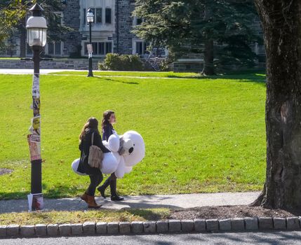 PRINCETON, NJ - OCTOBER 20: Colorful autumn in one of the best and oldest universities in USA, belonging to elite Ivy Leaque, classified at the 1-st place in ranking. Two students carrying big white toy, October 20, 2013 in Princeton, NJ