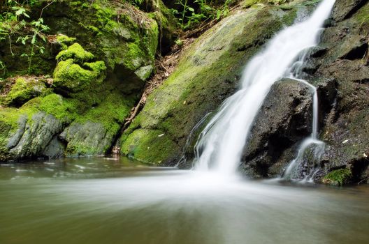 Waterfall in forest among mossy rocks and plants.