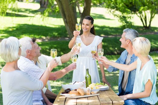 Pretty brunette toasting with her family on a sunny day