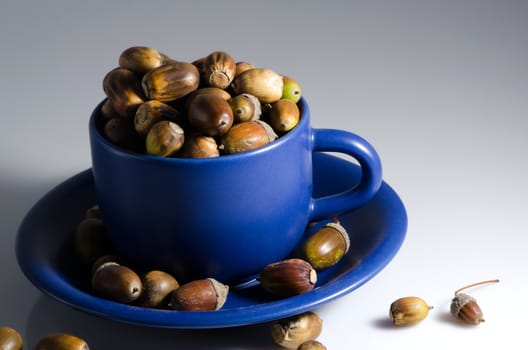 Lot of acorns around and in blue mug with small plate.